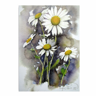 Aquarellkarte Margerite