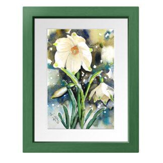 Frühlingsknotenblume