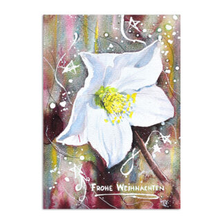 Weihnachtskarte mit Christrose